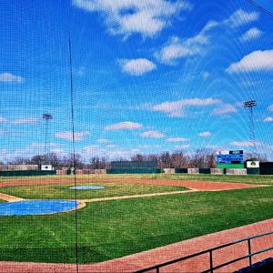 Image post by @burlington_bees on Instagram