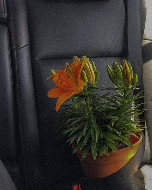 Image post by @newyorkerglow on Instagram