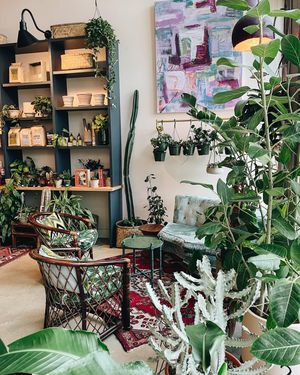 Image post by @thegreenhousejax on Instagram