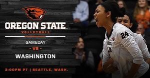 Image post by @beavervball on Instagram
