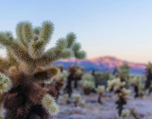 Image post by @nationalparkservice on Instagram