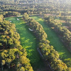 Image post by @playmassgolf on Instagram