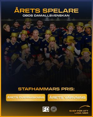 Image post by @fotbolldirekt on Instagram