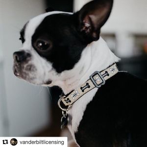 Image post by @vanderbiltu on Instagram