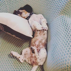 Image post by @hollysmee on Instagram