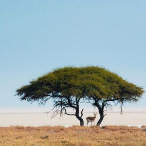 Image post by @vsco on Instagram