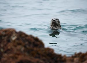 Image post by @nationalparkspartnership on Instagram