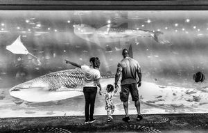 Image post by @therock on Instagram