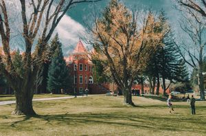 Image post by @nauflagstaff on Instagram