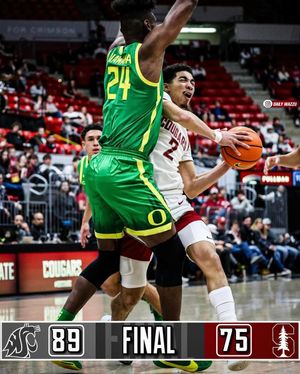 Image post by @dailywazzu on Instagram