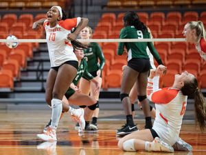 Image post by @gocamelsvb on Instagram