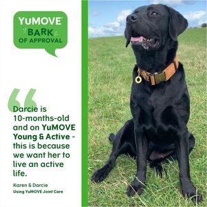Image post by @yumove_usa on Instagram