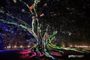 Image post by @gettyimages on Instagram
