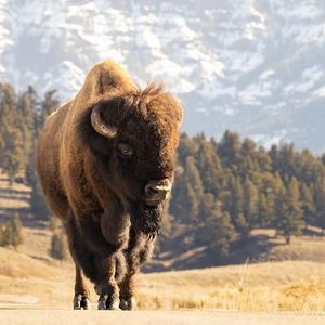 Image post by @nationalparkservice on Instagram