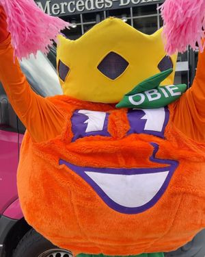 Image post by @orangebowlcares on Instagram