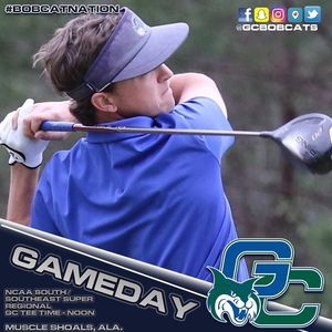 Image post by @gcsubobcats on Instagram