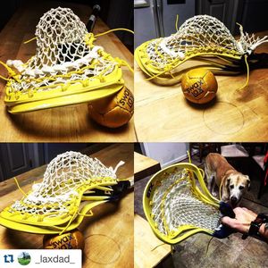 Image post by @stxmlax on Instagram