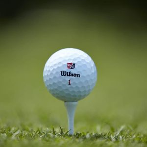 Image post by @wilsongolfcanada on Instagram