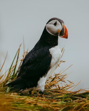 Image post by @martemedia on Instagram