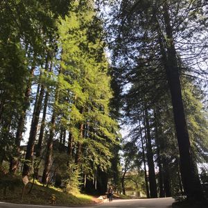Image post by @ucsc on Instagram