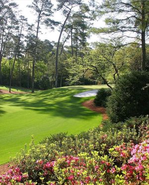 Image post by @grassclippings.club on Instagram