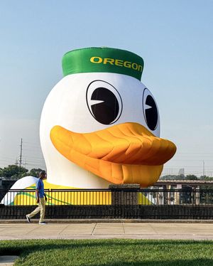 Video post by @oregonfootball on TikTok