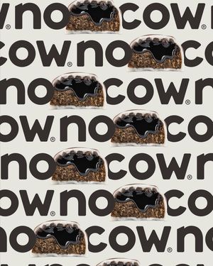 Image post by @nocow on Instagram