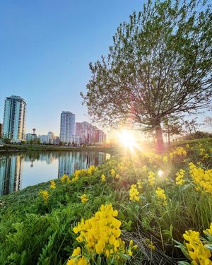 Image post by @cityofcalgary on Instagram