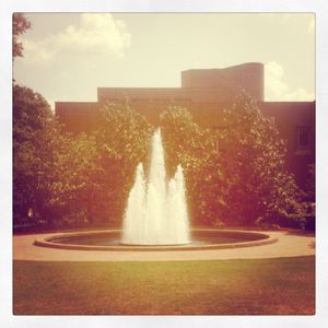 Image post by @universityofga on Instagram