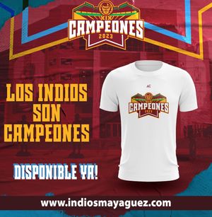 Image post by @indiosmayaguezlbprc on Instagram