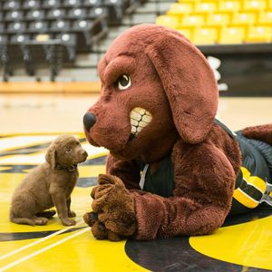 Image post by @umbclife on Instagram