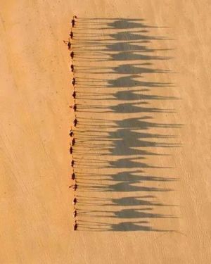 Image post by @fubiz on Instagram