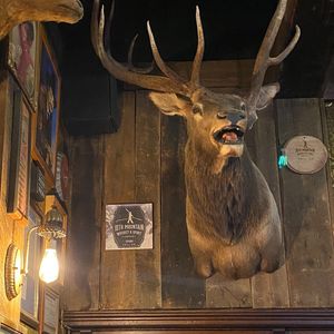 Image post by @10thmtnwhiskey on Instagram