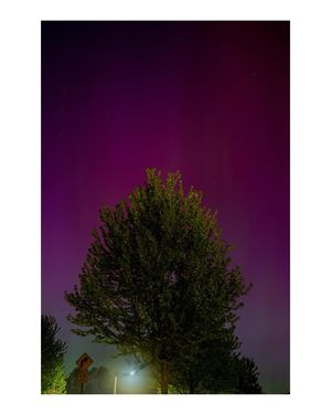 Image post by @bwillschcreative on Instagram