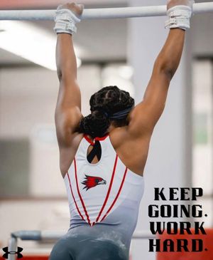 Image post by @semogymnastics on Instagram