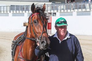 Image post by @NZHorseAmbulanceTrust on Facebook