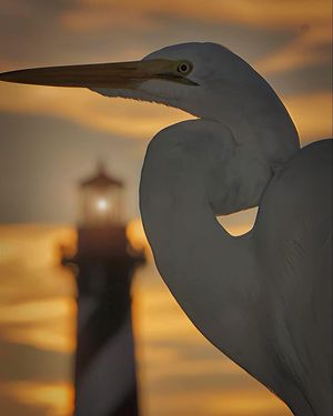 Image post by @stauglighthouse on Instagram