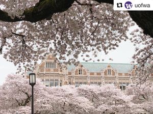 Image post by @uwtrack on Instagram
