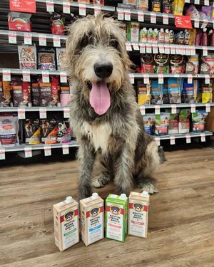 Image post by @thesavannahwolfhound on Instagram