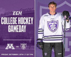 Image post by @everythingcollegehockey on Instagram