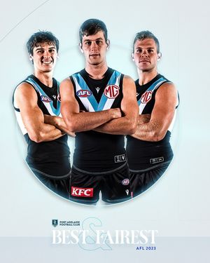 Image post by @pafc on Instagram