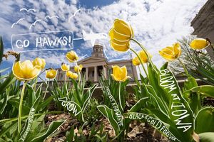 Image post by @uiowa on Instagram