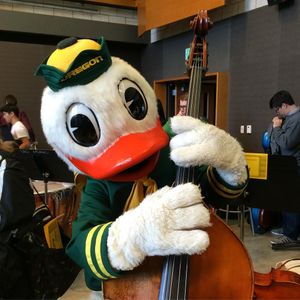 Image post by @uosomd on Instagram