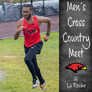 Image post by @larocheredhawks on Instagram