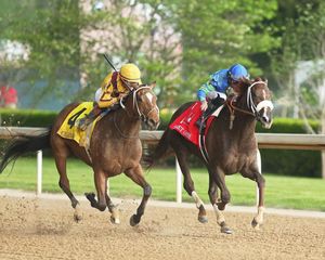Image post by @thebloodhorse on Instagram