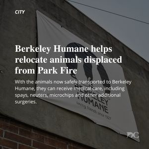 Image post by @dailycal on Instagram