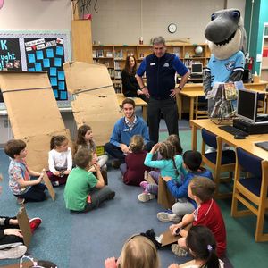 Image post by @ilmsharks on Instagram