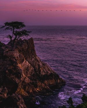 Image post by @pebblebeachresorts on Instagram