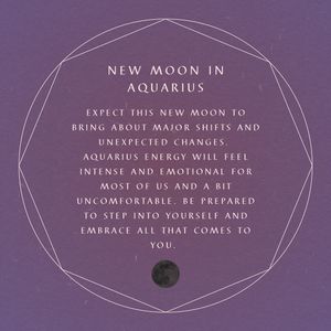 Image post by @highchienergy on Instagram
