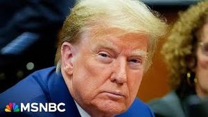 Video post by @msnbc on YouTube